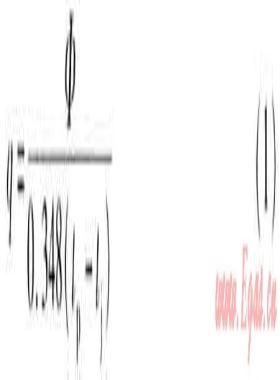 公共建筑廚房通風系統(tǒng)設計