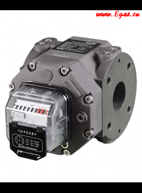 蒼南儀表RM氣體羅茨流量計(jì)樣本下載