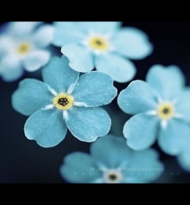 《無線遠(yuǎn)傳膜式燃?xì)獗怼烦墙?T503-2016全文