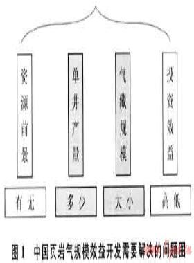 中國(guó)頁(yè)巖氣勘探開(kāi)發(fā)面臨的問(wèn)題與對(duì)策