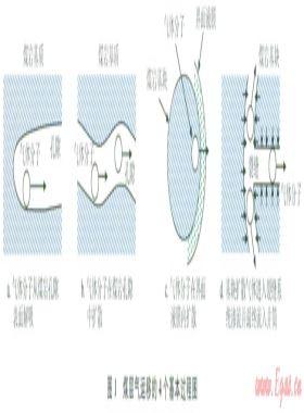 鉆井完井液對煤層氣解吸—擴散—滲流過程的影響